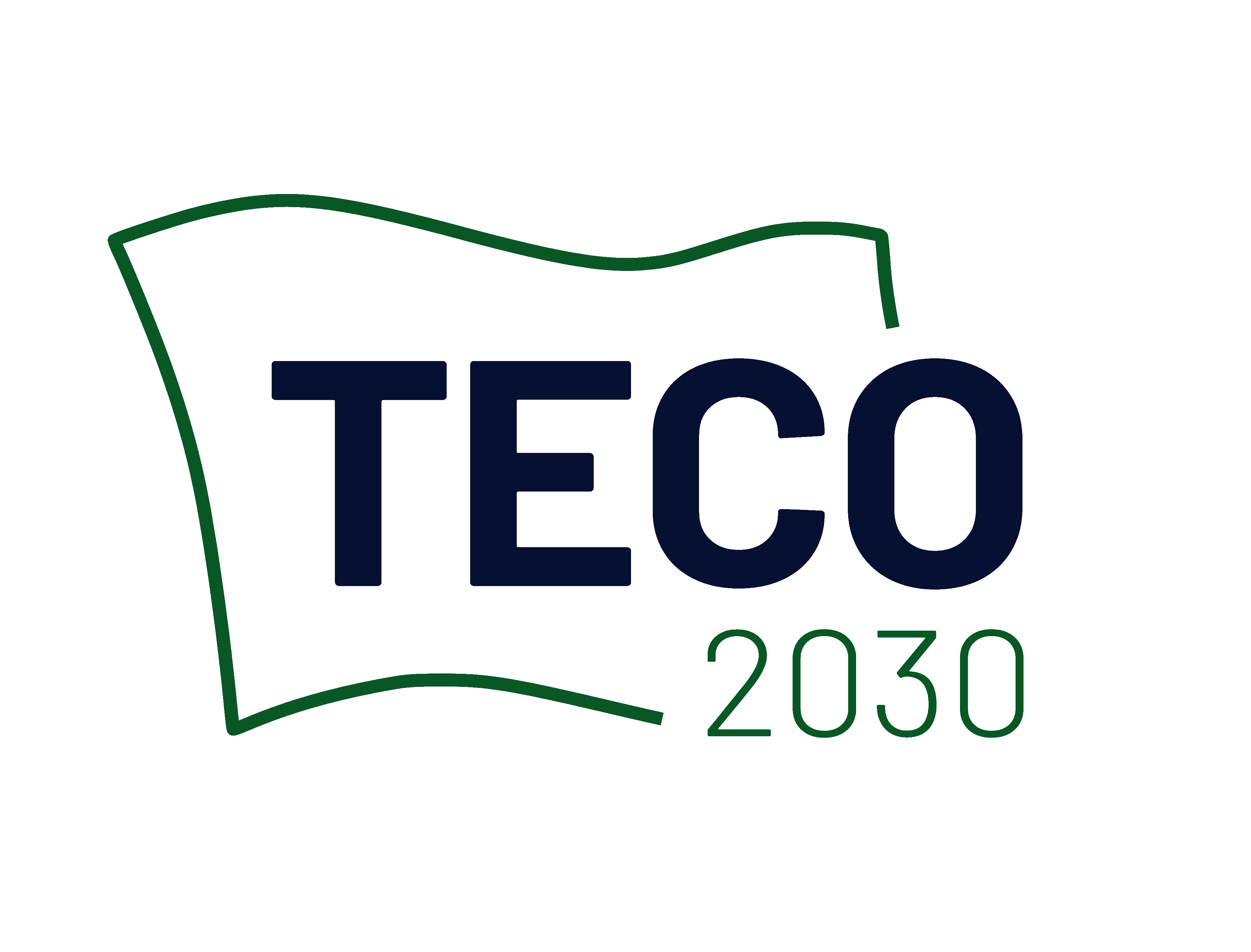 Corporate governance TECO 2030